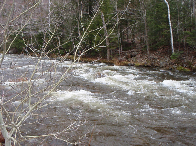 P4260352.jpg