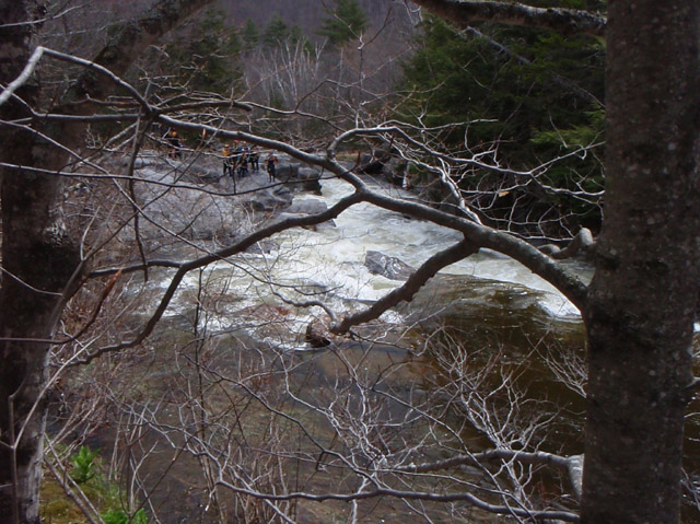 P4260384.jpg