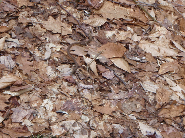 P4260426.jpg
