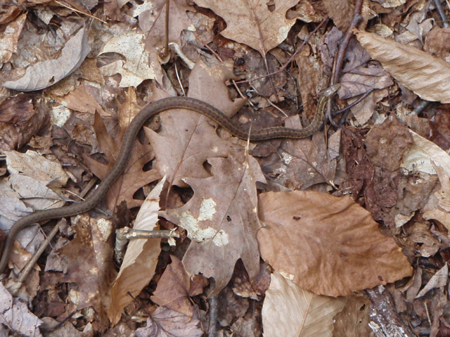 P4260428.jpg