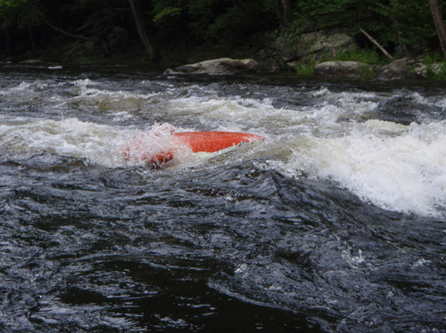 P7260379.jpg