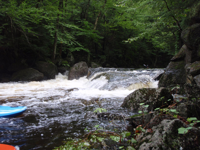 P8300045.jpg