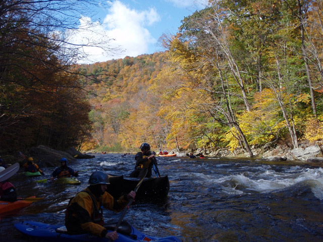 PA110069.jpg