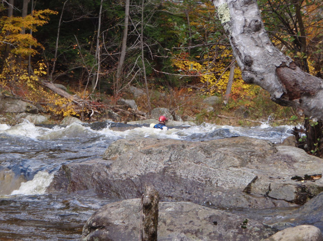 PA110083.jpg