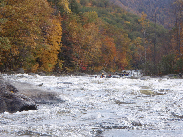 PA110098.jpg