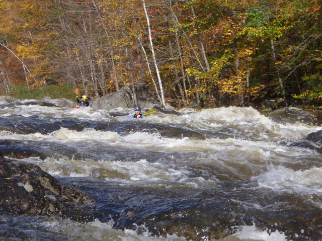 PA110100.jpg