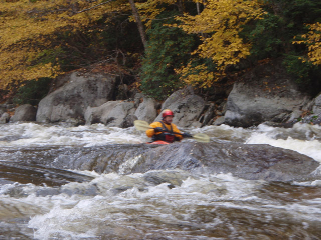 PA110108.jpg