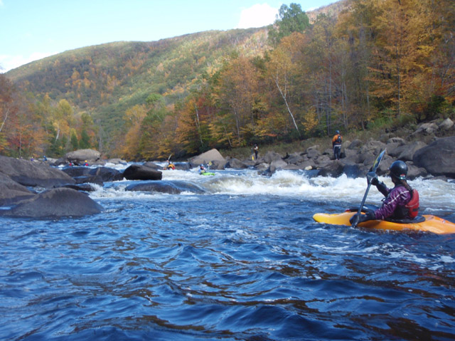PA110123.jpg