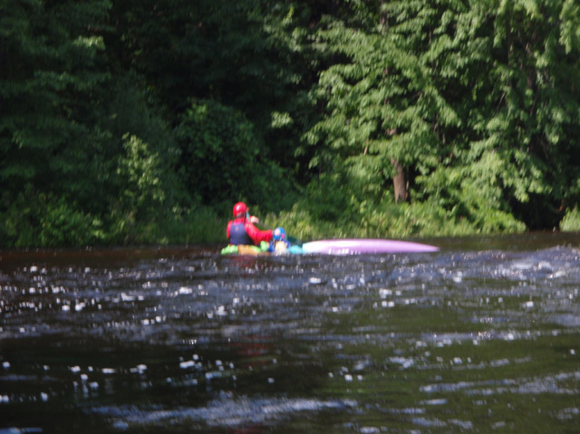 P8010026.jpg