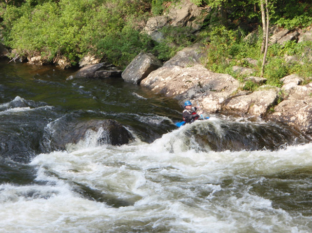 P7250331.jpg